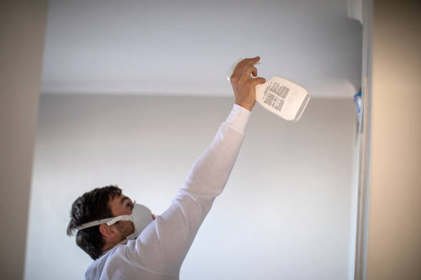 Best Insurance-Related Mold Remediation in West Burlington, IA